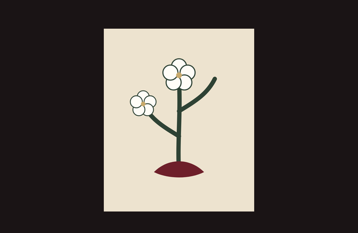 THE BLACKTHORN POST